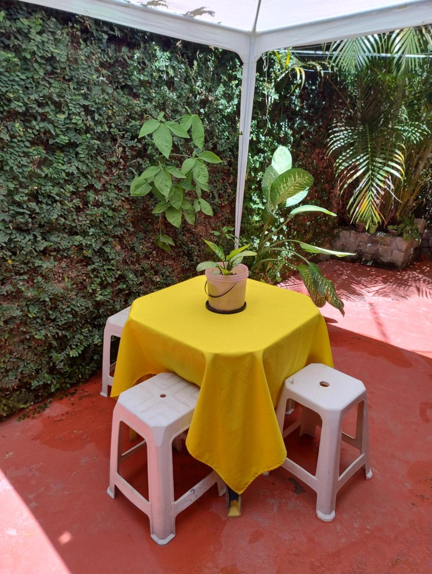 Perto Do Aeroporto De Salvador - Dona Pitanga Hostel Lauro de Freitas Esterno foto